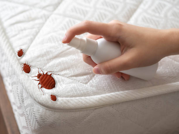 Best Best Pest Control Companies  in North Madison, OH