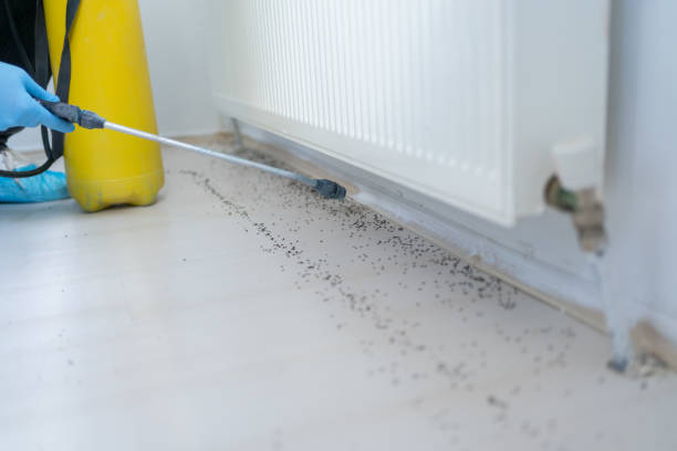 Professional Pest Control in North Madison, OH