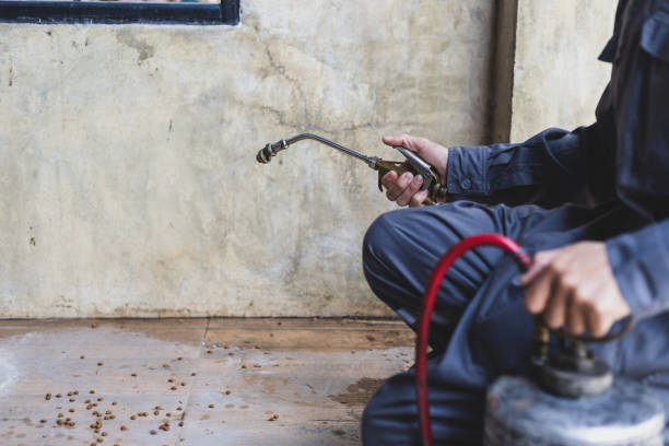 Best Pest Control Treatment  in North Madison, OH